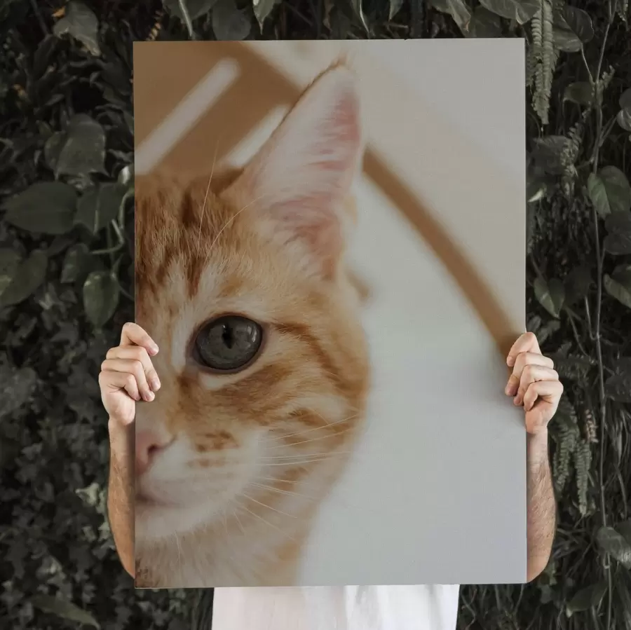 Glezna Jūsu kaķa foto uz audekla s47220