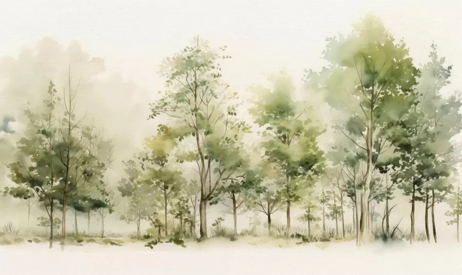 Fototapetes Akvareļu lapu koku mežs w05180