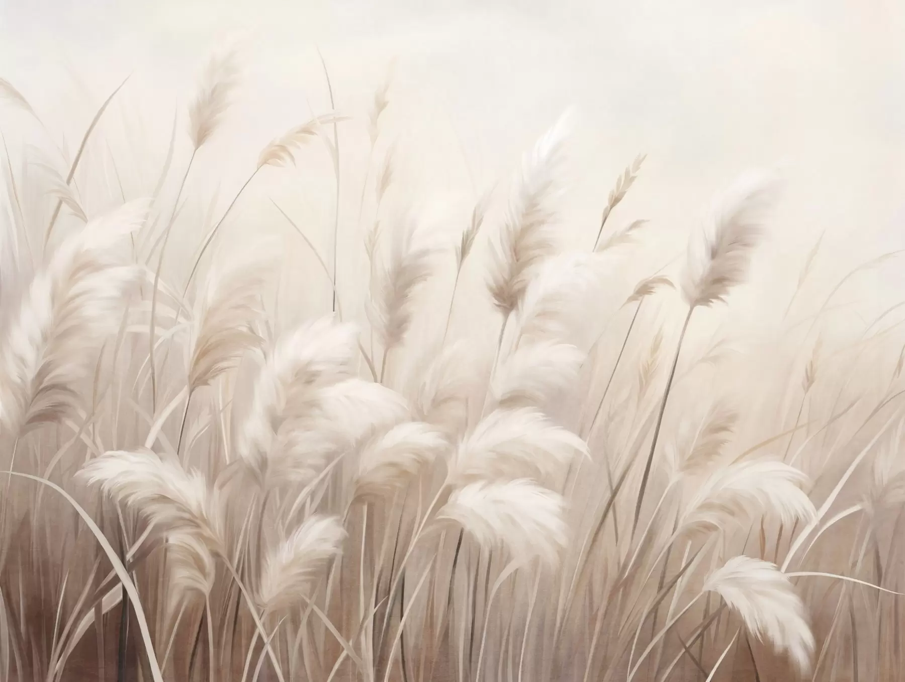 Fototapetes Augsta, teksturēta pampas zāle maigās, siltās, neitrālās toņos, ar izplūdušu, gaišu fonu w09637