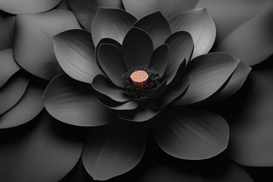 Fototapetes Minimālisma stilā veidota melna zieda ar ziedlapām un kontrastējošu siltā toņa vidu w09721