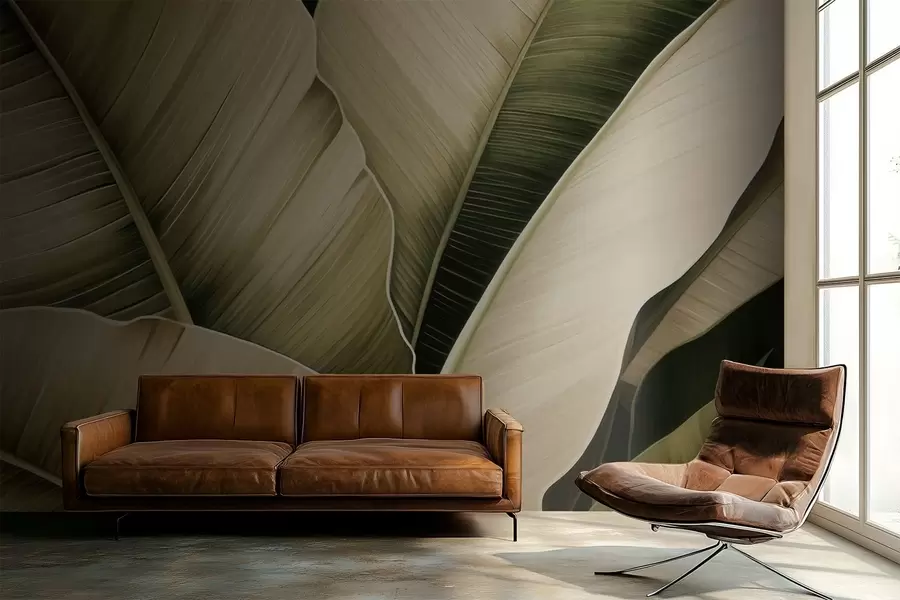 Fototapetes Banānu lapas, garas lapas w05403