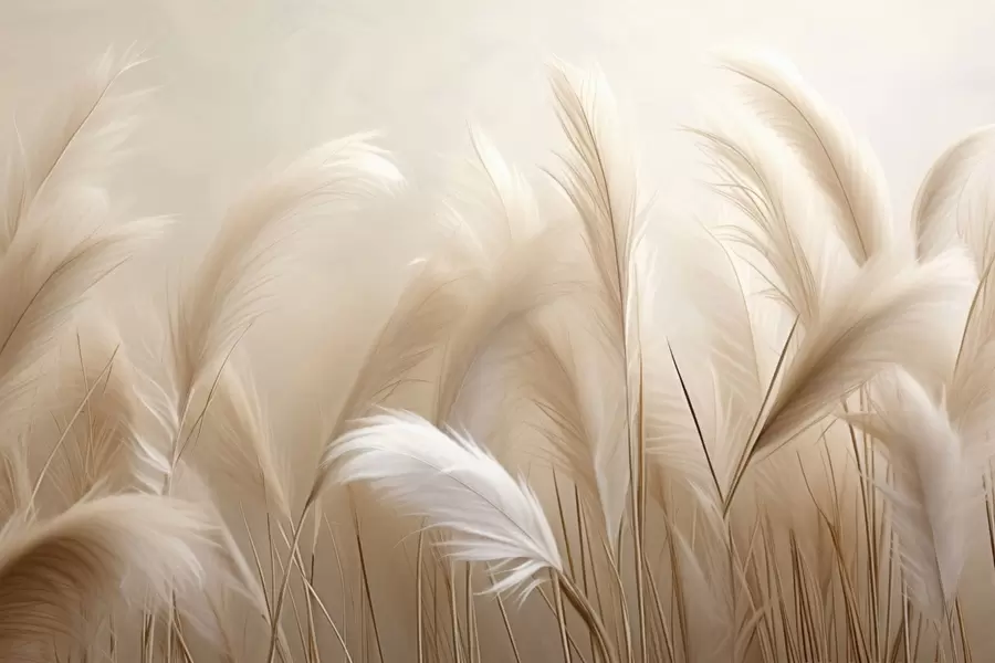 Fototapetes Pampas zāle w05716
