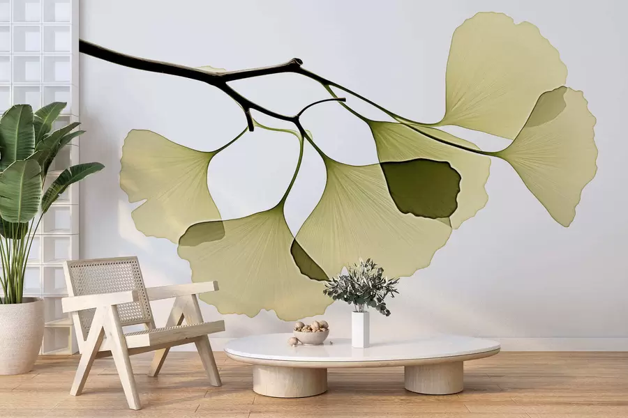 Fototapetes Ginkgo vēdekļveida lapas w09968