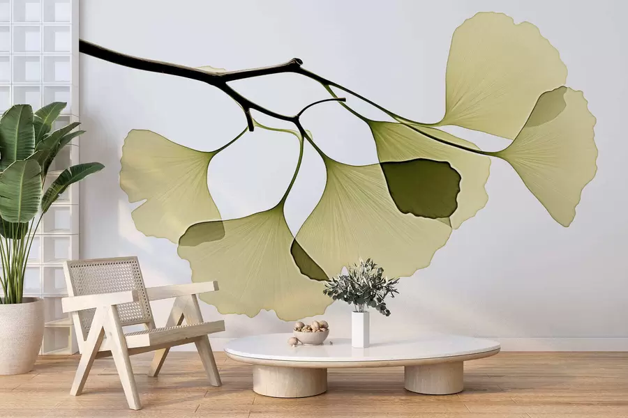 Fototapetes Ginkgo vēdekļveida lapas w09968
