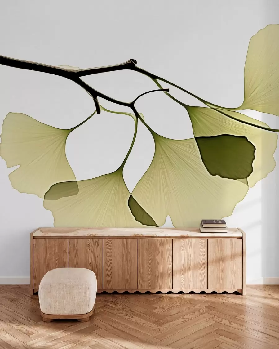 Fototapetes Ginkgo vēdekļveida lapas w09968