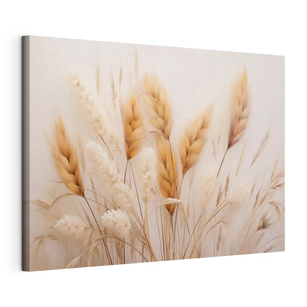 Glezna Pūkaina pampas zāle ekostilā s51093