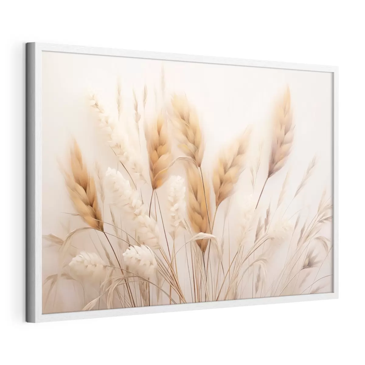 Plakāts Pūkaina pampas zāle ekostilā f51093
