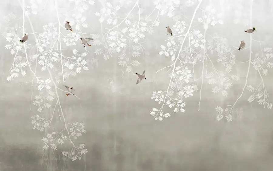 Fototapetes Atmosfēra, augs e daba u19485