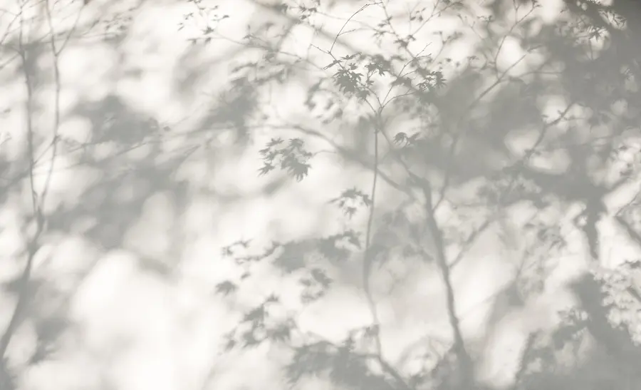 Fototapetes Ēna uz sienas u79829