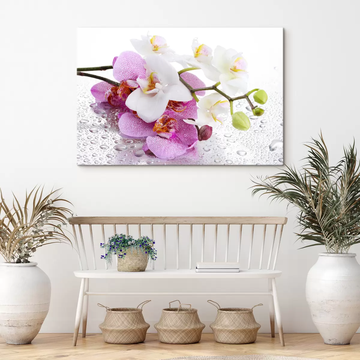 Glezna Zieds, augs un ziedlapa s15063