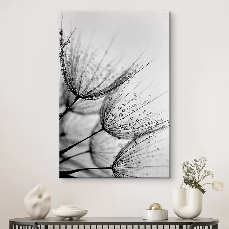 Fototapetes Augs, zariņš un aukla s20828