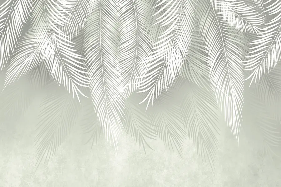 Fototapetes Baltas zaru palmas uz zaļa fona u74489