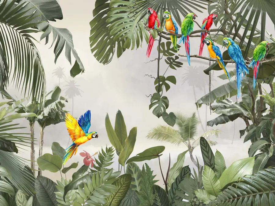 Fototapetes Papagaiļi uz zariem tropu mežā u94072