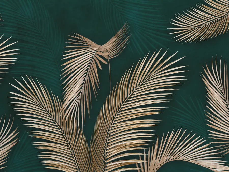 Fototapetes Tropu lapas uz tumša fona u94012