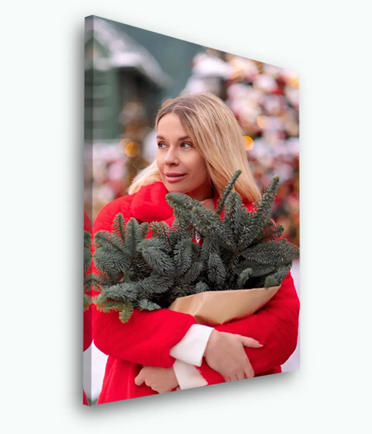 Glezna Sejas, suns un fotogrāfija s33123