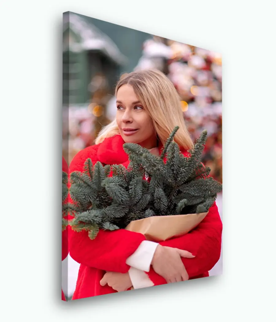 Glezna Sejas, suns un fotogrāfija s33123