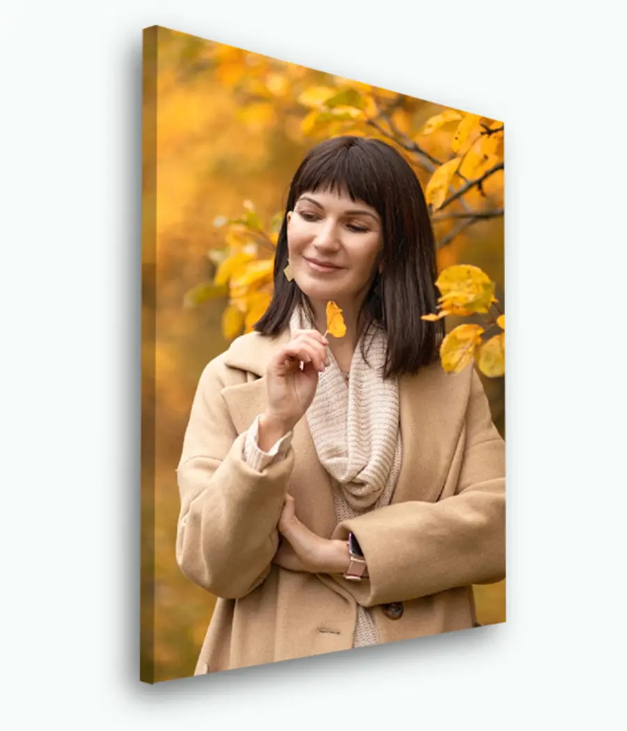 Glezna Smaids, virsdrēbes un augs s33290