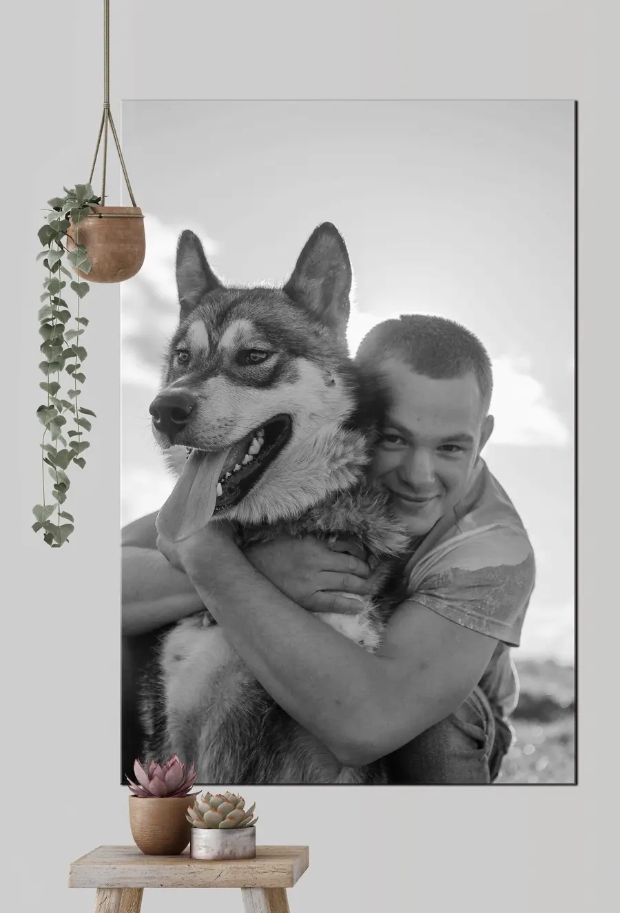 Glezna Suns, suņu šķirne un piedurkne s33339