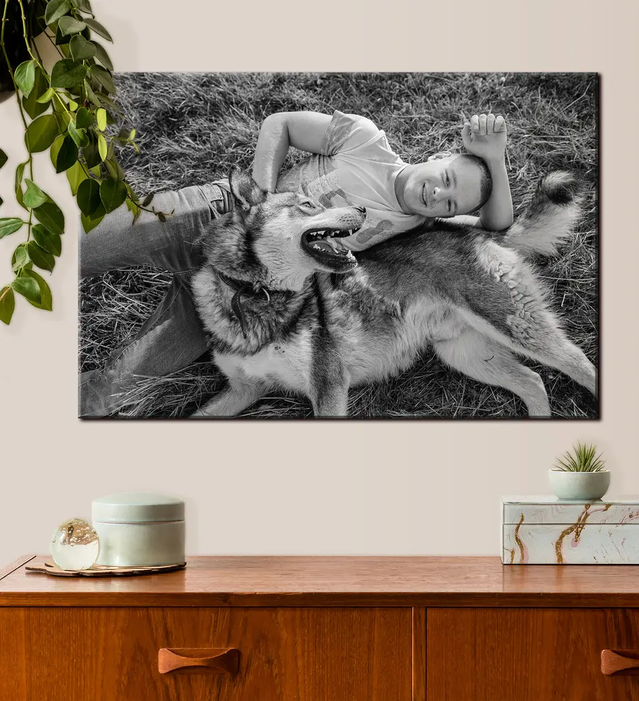 Glezna Suns, žests un melnbalts s33340