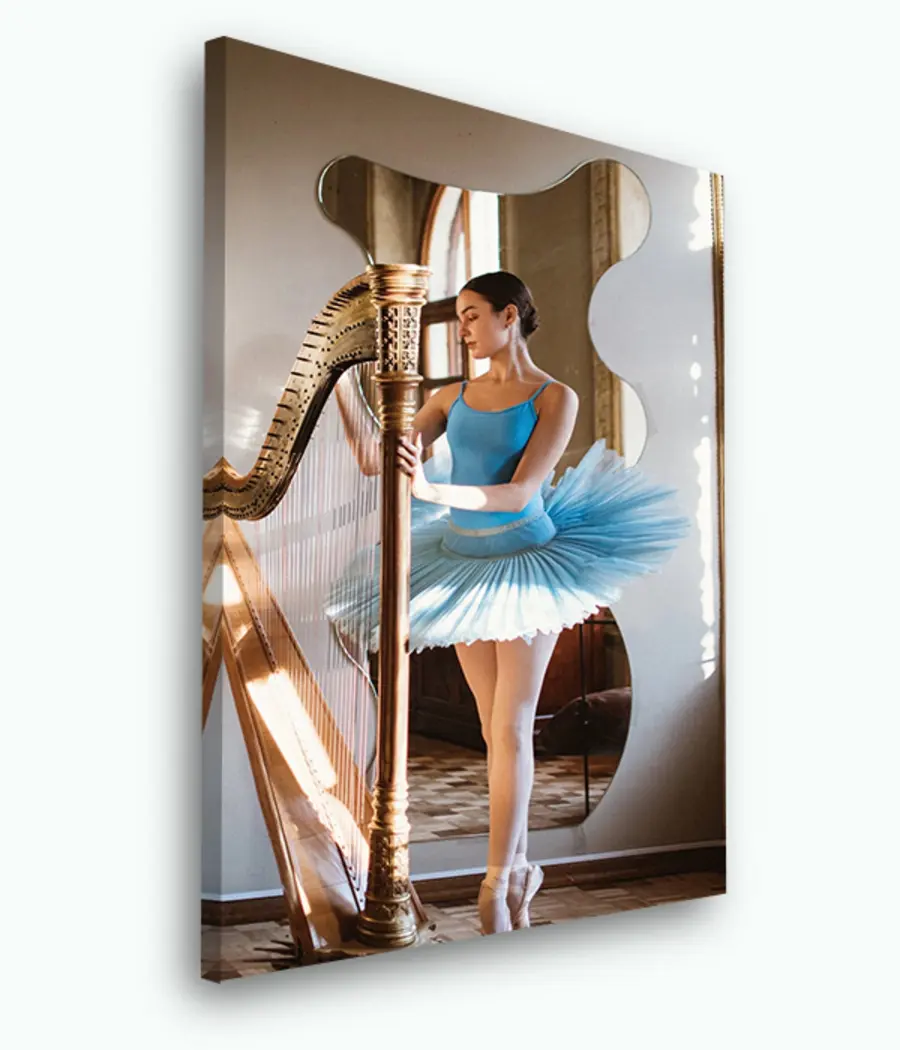 Glezna Flash fotogrāfija, kleitu un interjera dizains s33391