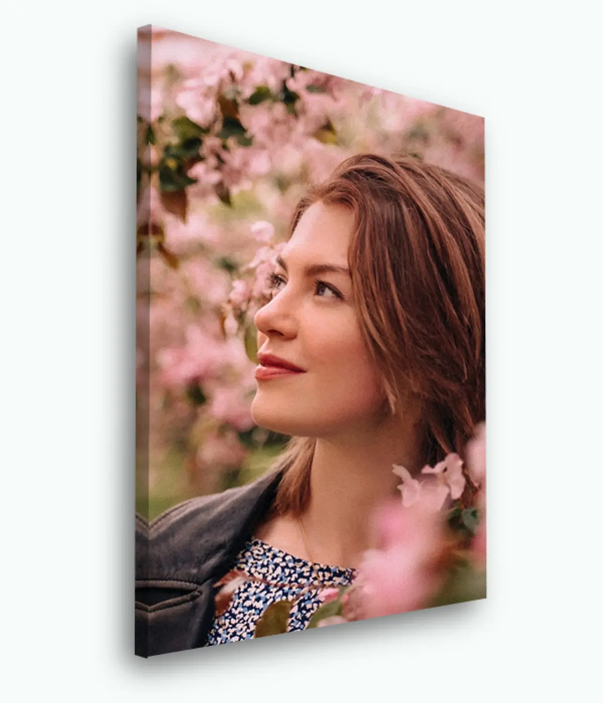 Glezna Lūpas, zieds un fotogrāfija s33423