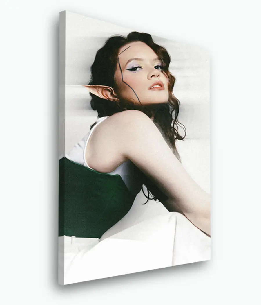 Glezna Mēbeles, zibspuldzes fotogrāfija un kakls s33454