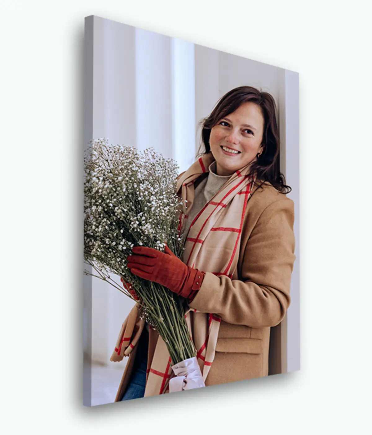 Glezna Locītava, smaids un augs s33465