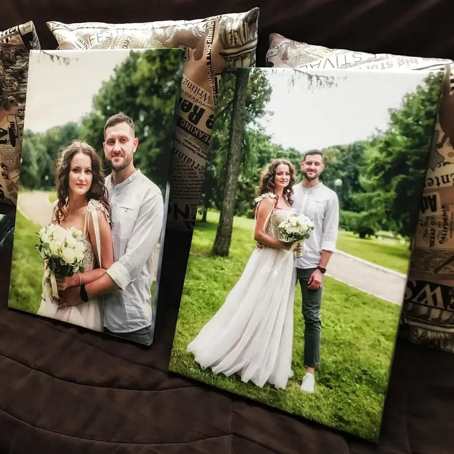 Glezna Smaids, augs un kāzu kleita s34650