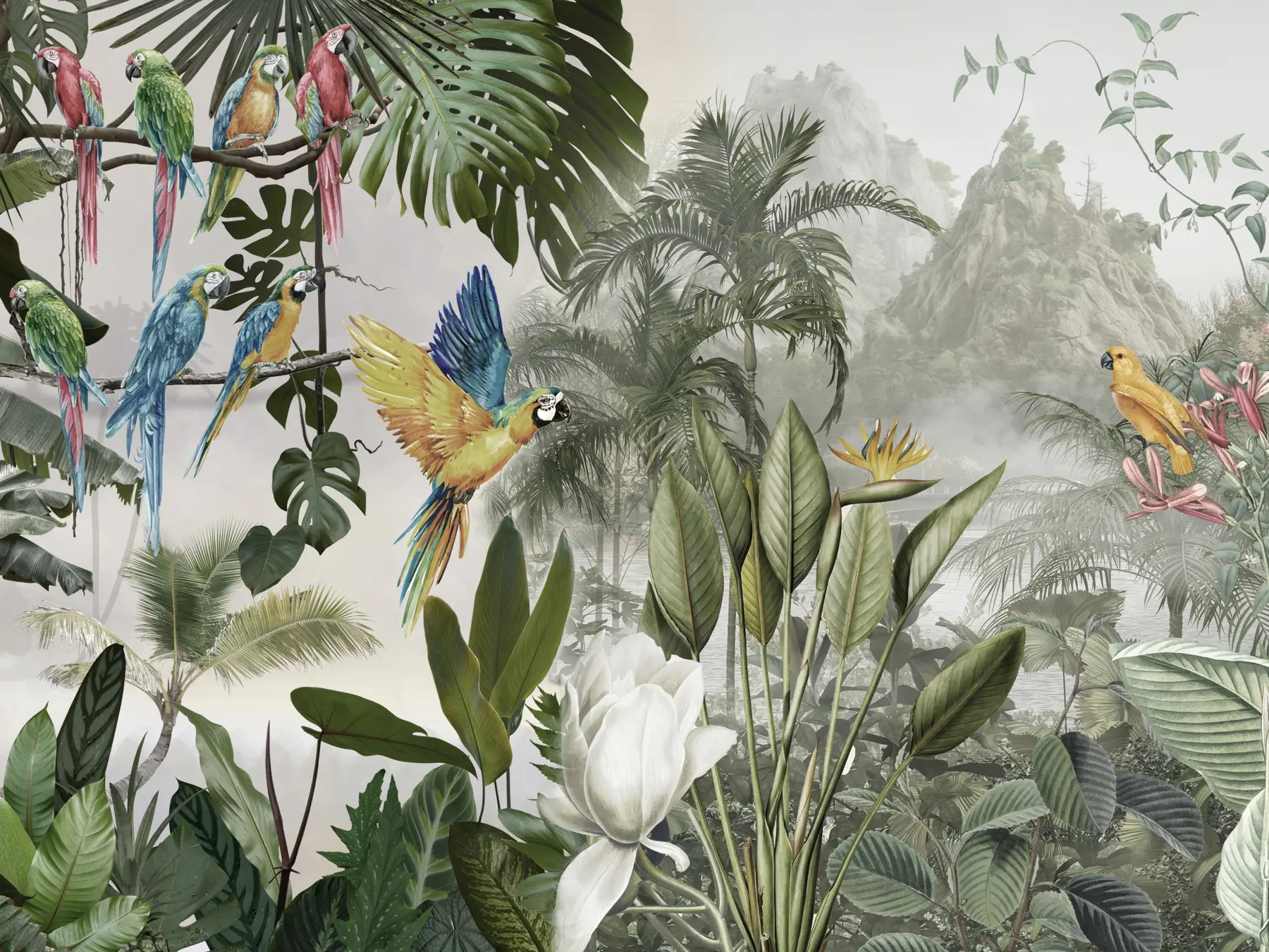 Fototapetes Papagaiļi lietus mežā u95693