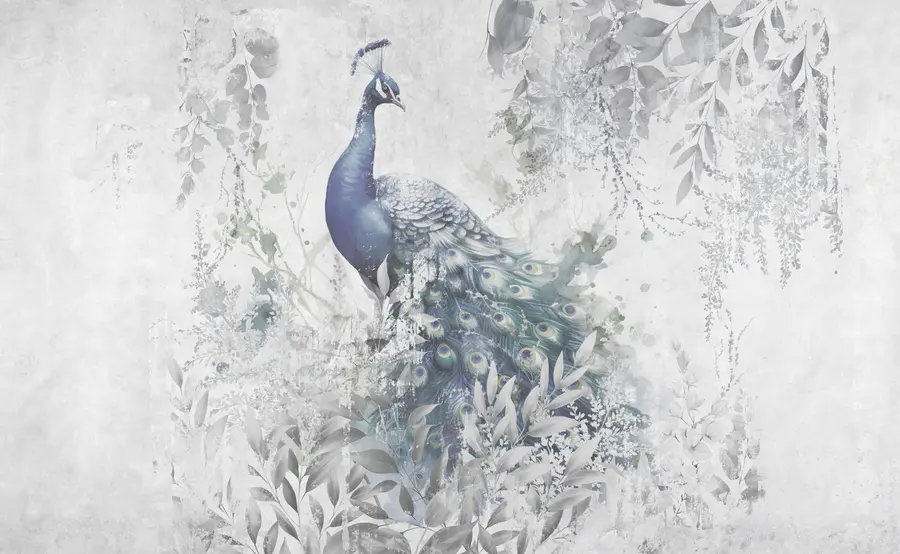 Fototapetes Trausls pāvs uz grunge betona fona u96727