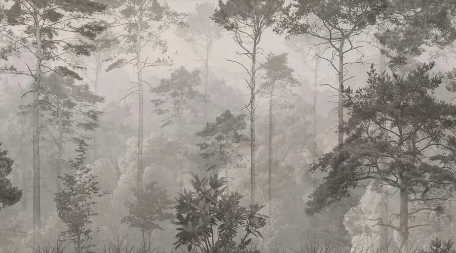 Fototapetes Augsti koki uz kalniem, mežs miglā u97190