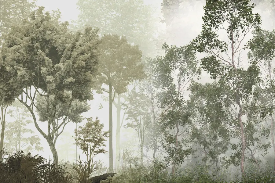 Fototapetes Tropu koki un lapas miglainā mežā u97402