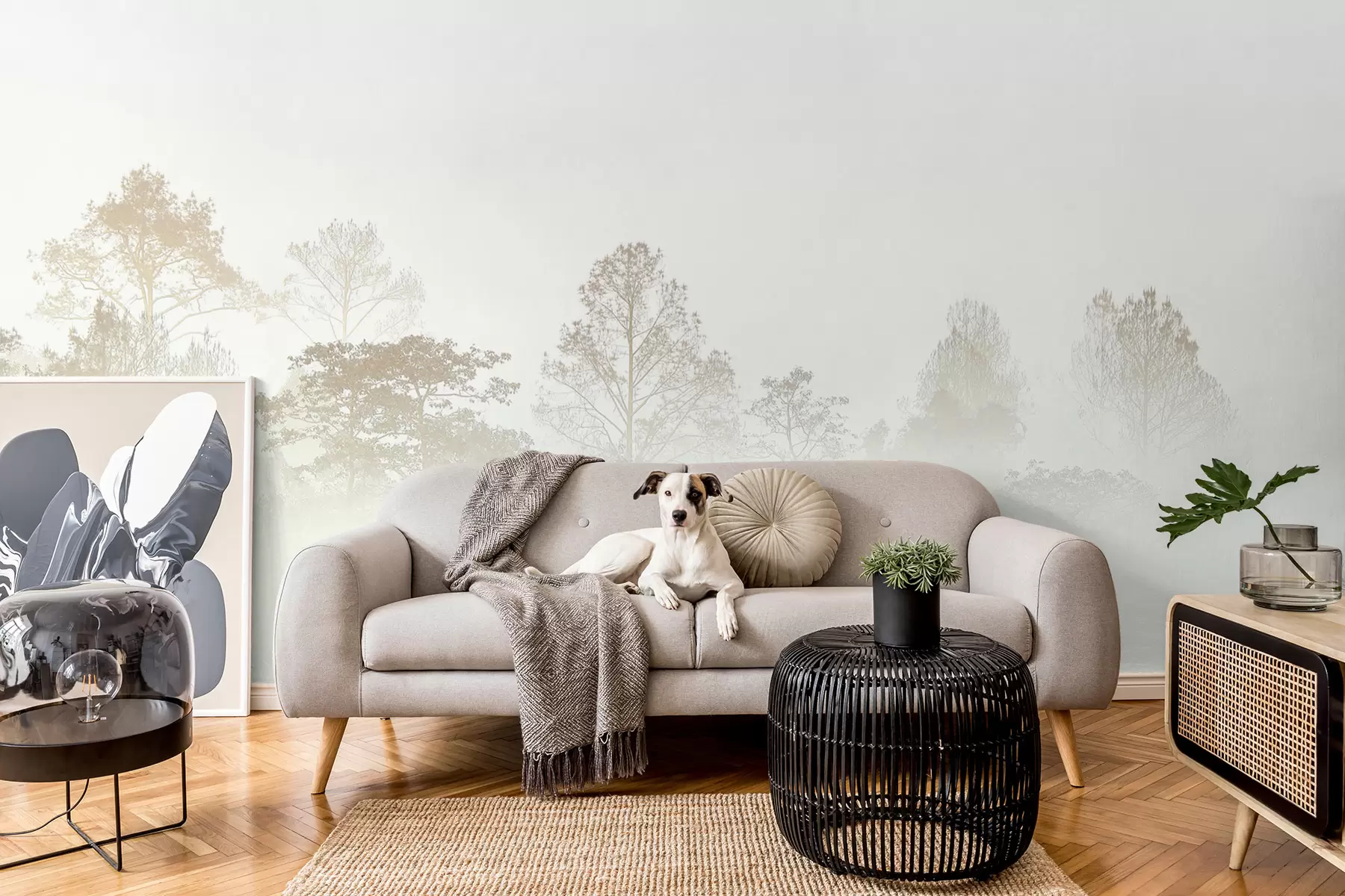 Fototapetes Koku birzs siluets biezā baltā rīta miglā u97405