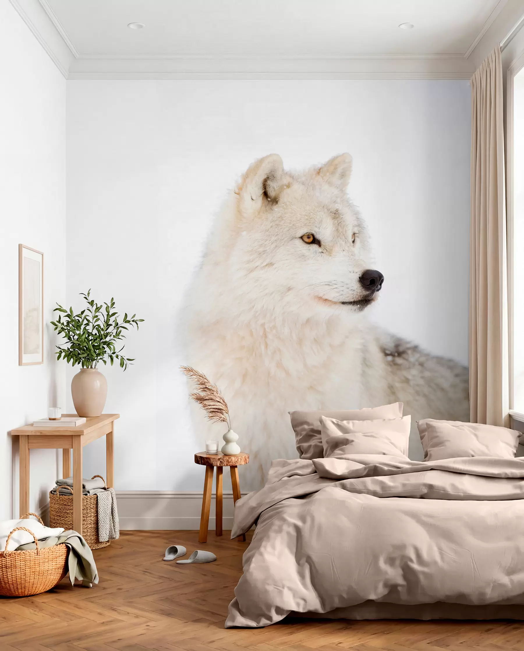 Fototapetes Arktikas vilks uz balta fona u98189