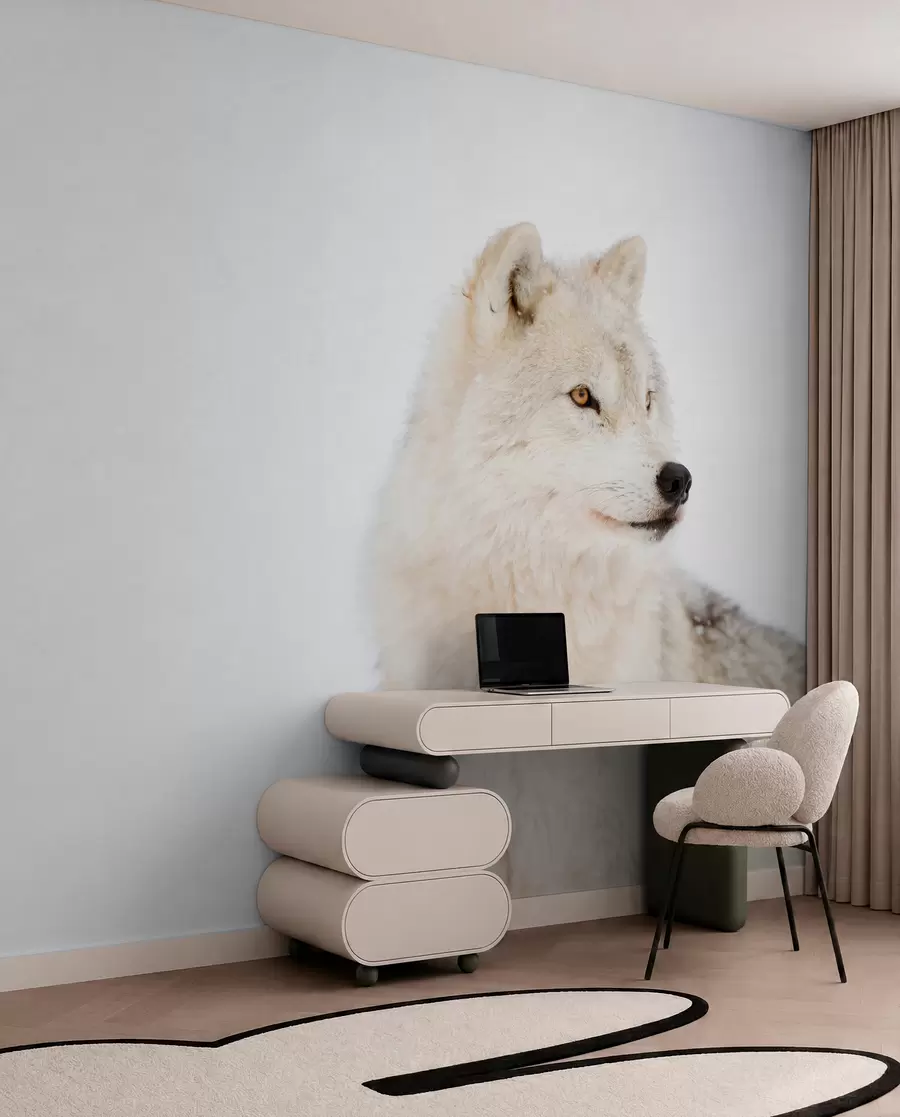 Fototapetes Arktikas vilks uz balta fona u98189