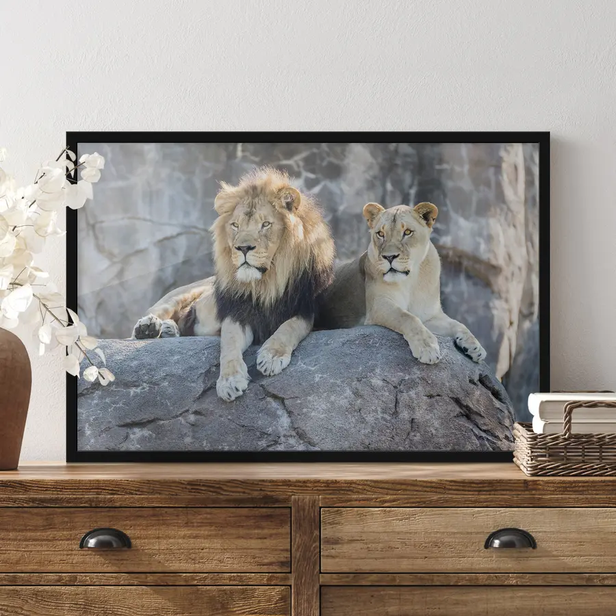 Fototapetes Majestātiskie lauvas mierīgi atpūšas kopā f15278