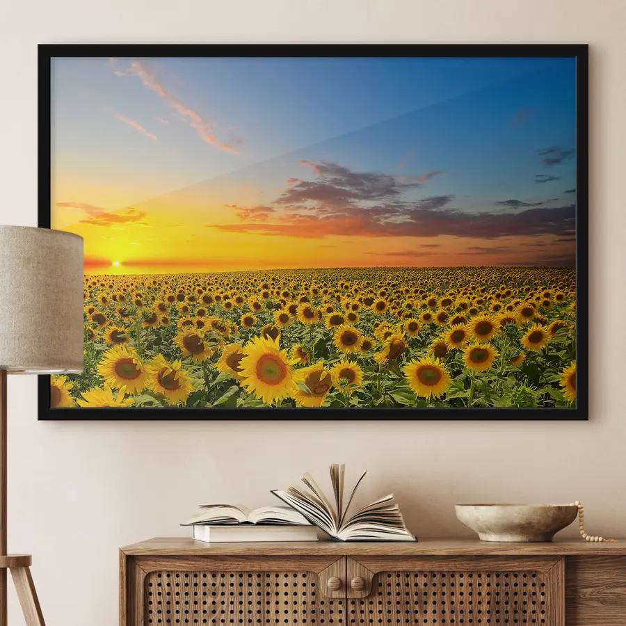 Fototapetes Saulespuķu lauks saulrietā. Skaists skats f05429