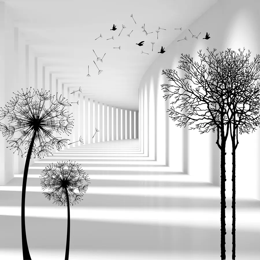 Fototapetes Dziļums un gaisma u37803d1