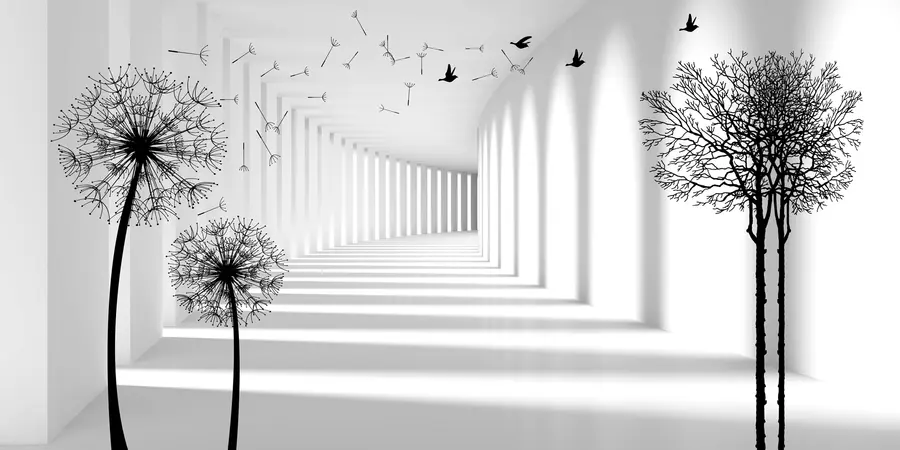 Fototapetes Dziļums un gaisma u37803d2