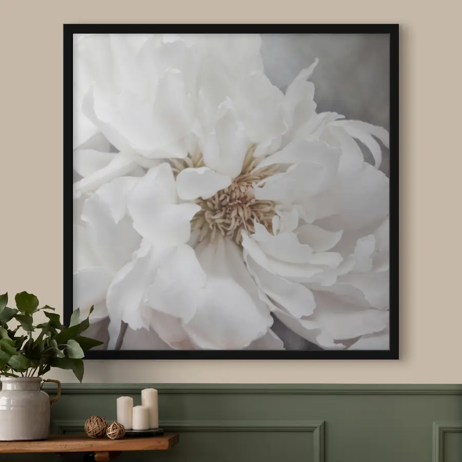 Fototapetes Maiga skaistums maigās nokrāsās f37161