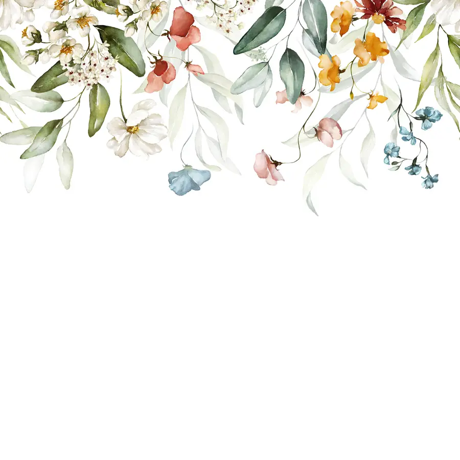 Fototapetes Ziedi un lapas uz balta fona u99495